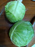 新鮮甘藍(lán)包菜卷心菜新鮮嫩綠蓮花白現(xiàn)摘現(xiàn)發(fā)早餐減脂 新鮮包菜 1.5-2斤 人工挑揀 曬單實拍圖