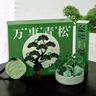 語輕心萬事青松無火香薰禮盒辦公室桌面小擺件香氛禮物送男女生潮 萬事青松 曬單實拍圖