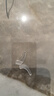 無框防藍光變色近視眼鏡男可配度數(shù)防輻射抗疲勞平光無邊框眼睛女 銀架+1.61防藍光無色鏡片 0度平光 曬單實拍圖