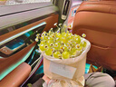 冠生園洋槐蜂蜜428g*3擠壓瓶 槐花蜜 中華老字號 早餐牛奶伴侶教師禮品 曬單實(shí)拍圖