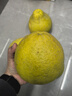 趣覓鮮江永香柚純甜沙田柚湖南永州特產(chǎn)正宗農家老樹(shù)柚子白肉新鮮水果 9斤大果袋裝4-5個(gè) 曬單實(shí)拍圖