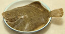 鮮活多寶魚450-550g/條 曬單實(shí)拍圖