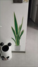 吉朵蕓清新綠植盆栽仿真植物墻貼畫自粘臥室客廳玄關(guān)家居墻面裝飾貼紙 虎皮蘭盆栽墻貼AD9124 曬單實拍圖