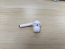 榮耀（HONOR）適用榮耀 Flypods3單只左耳右耳充電倉充電盒單耳補配 官方標(biāo)配 全新 白色左耳 曬單實拍圖