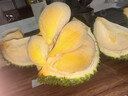 什果樂貓山王榴蓮（D197）馬來西亞進口帶殼整果液氮冷凍水果禮盒 A+果3.1-3.6斤（包3-4房） 曬單實拍圖