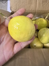 金百粟 百香果云南欽蜜9號(hào)黃金百香果新鮮水果當(dāng)季純甜百香果原漿 欽蜜9號(hào)凈重1斤 單果40-60g 曬單實(shí)拍圖