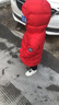 哈吉斯（HAZZYS）男童T恤夏季新款柔軟經(jīng)典翻領(lǐng)撞條短袖POLO衫 米白色 130 曬單實(shí)拍圖