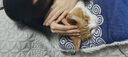 APM Monaco綠眼靈蛇開口戒指指環(huán)時(shí)尚飾品生日禮物送女友 曬單實(shí)拍圖