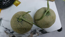 日本引種冰淇淋網(wǎng)紋蜜瓜當(dāng)季新鮮現(xiàn)摘現(xiàn)發(fā)香甜玫瓏蜜瓜水果禮盒 甄選果-2枚（精選普通裝） 曬單實(shí)拍圖