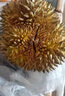 【保4房肉】A級進口金枕鮮榴蓮1粒2-2.5kg(M) 曬單實拍圖