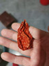 涮涮辣干辣椒2斤云南特產(chǎn)特辣變態(tài)辣 魔鬼斷魂椒干貨巨辣龍息辣椒 500g 干貨 曬單實(shí)拍圖
