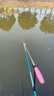 阿盧a63高靈敏黑坑鯽魚(yú)鯉魚(yú)漂行程底釣競(jìng)技偷驢蘆葦浮漂野釣官方浮標(biāo) LPA63-17目本色細(xì)尾(正常尾顏色) 3號(hào)(吃鉛約1.71克) 曬單實(shí)拍圖