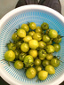 月宵【順豐/JD】青口蜜小番茄新鮮綠色圣女果現(xiàn)摘水果琥珀青甜小柿子 青甜小番茄 3斤 曬單實(shí)拍圖