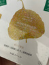 一葉子面膜美白補(bǔ)水保濕煙酰胺提亮膚色免洗面貼熬夜改善暗沉男女學(xué)生 （嫩白水潤(rùn)）美白滋養(yǎng)緊致30片 曬單實(shí)拍圖