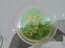 婭洛思 5D山茶花洗衣凝珠留香珠三合一洗衣液持久留香味除菌除螨60顆 曬單實(shí)拍圖