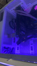 萬競 RTX2080Ti 22G/RTX3080全新盒裝深度學習電腦Ai人工智能SD模型訓練跑圖臺式黑悟空游戲獨立顯卡 【全新盒裝】RTX3080 10G戰(zhàn)神 超算渦輪 曬單實拍圖