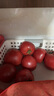 隴原紅 陜西涇陽(yáng)普羅旺斯西紅柿 現(xiàn)摘生吃沙瓤新鮮蔬菜番茄 健康輕食 普羅旺斯 3斤 中小果 曬單實(shí)拍圖