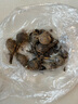 清香型四季開花重瓣風(fēng)雨蘭種球庭院陽(yáng)臺(tái)盆栽花卉植物好養(yǎng)易活韭蘭 混裝組合10顆種球直徑1-2cm 裸根不帶土 曬單實(shí)拍圖