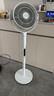 東芝（TOSHIBA）【花信風(fēng)SE】電風(fēng)扇空氣循環(huán)扇0耗材除醛直流變頻電風(fēng)扇靜音臥室超靜音一級(jí)能效F-DSC650CN(W) 曬單實(shí)拍圖