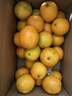 庾豐 江西贛南臍橙新鮮橙子  新鮮水果整箱孕婦手剝橙 當季現摘贛州橙 10斤裝-凈果9斤 單果110-220g 源頭產(chǎn)地直發(fā) 品質(zhì)甄選 曬單實(shí)拍圖