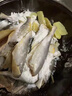 順豐小黃魚(yú)深海捕撈速凍生鮮野生黃花魚(yú)肉質(zhì)鮮嫩海鮮水產(chǎn)煲湯煎炸 2斤【小黃花魚(yú)】 曬單實(shí)拍圖