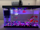 大禹德邦魚(yú)缸水族箱懶人無(wú)憂(yōu)換水辦公室客廳超白玻璃家用小型桌面魚(yú)缸 桌面智能魚(yú)缸T4系列 曬單實(shí)拍圖