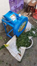 電動豬草機切草機碎草機雞鴨鵝豬養(yǎng)殖小型家用青飼料鍘草機粉碎機 38cm雙刀切草機+加大電機 曬單實拍圖