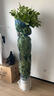 植男植女大型金邊虎皮蘭植物客廳臥室辦公室綠色觀葉花卉綠植盆栽源頭直發(fā) 曬單實(shí)拍圖