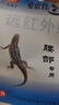 弘德堂壁虎膏貼廠家直銷腰疼貼膏 腰椎型弘德堂patch3貼/盒 1盒3貼 曬單實(shí)拍圖