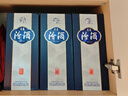 汾酒 青花20升級版 清香型白酒 53度500mL 單瓶（新版新包裝） 曬單實拍圖