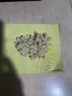 老鼠藥三步到一聞就死劇毒家用滅鼠超強(qiáng)力特一窩端高效驅(qū)鼠藥神器 滅鼠不傷人畜2袋【家中永無(wú)鼠】 曬單實(shí)拍圖