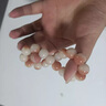 芯奢淺月花皮菩提子手串女士菩提根手串盤(pán)玩女孩子繞指柔真品文玩手鏈 曬單實(shí)拍圖