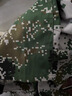 庫加羅軍訓(xùn)服套裝T恤夏季薄款學(xué)生軍訓(xùn)迷彩服工作服夏季薄款耐磨透氣 灰迷【優(yōu)質(zhì)T恤+長褲+帽子腰帶】 S(160)【適合身高155-160cm】 曬單實(shí)拍圖