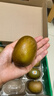 佳沛（zespri）新西蘭 陽光金奇異果12粒禮盒特大果單果約122-146g 獼猴桃 水果 曬單實拍圖