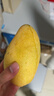 京橙美錦正宗海南金煌芒新鮮芒果生鮮當(dāng)季熱帶水果水仙甜心芒爆甜特產(chǎn)送禮 5斤特大果【400-500g】人工精選 曬單實拍圖