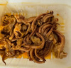 海鮮君 麻辣魷魚(yú)須100g 曬單實(shí)拍圖