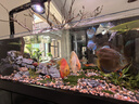 瘋狂水草（FKSC）水草液肥1100ml魚(yú)缸水草營(yíng)養液不傷魚(yú)水培碗蓮水草植物綜合生根 曬單實(shí)拍圖