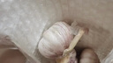 紫白皮蒜即食水果大蒜今年新鮮干蒜生鮮調料蒜瓣 3頭大蒜 0.22斤 曬單實(shí)拍圖