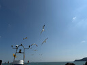 FETANA學(xué)生數(shù)碼相機(jī)入門級ccd相機(jī)高清前后雙攝兒童照相機(jī)卡片機(jī)高中生校園vlog旅游可傳手機(jī)兒童節(jié)禮物 牛奶白【4800W像素丨前后雙攝丨觸摸屏】 64G內(nèi)存卡 曬單實拍圖