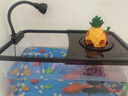 闊庭（KUOTING）魚缸水族箱生態(tài)桌面魚缸新款懶人魚缸生態(tài)造景過濾制氧一體機黑色 曬單實拍圖