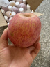煙臺蘋果水果棲霞紅富士新鮮生鮮果山東特產(chǎn)脆甜 精品果 凈重4.5斤（果徑80mm以上） 曬單實拍圖