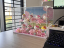 凱蒂貓HelloKitty手辦擺件kt貓線(xiàn)條小狗盲盒可愛(ài)送閨蜜女朋友女孩兒生日情人節禮物 凱蒂貓櫻花全家福8款【含展示盒+背景+花+禮袋】 曬單實(shí)拍圖