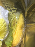 壹萌果蔬金煌芒芒果 當(dāng)季現(xiàn)摘廣西大芒果新鮮水果青皮芒果整箱送禮 5斤精品果【單果150g+】 凈4.5斤 曬單實(shí)拍圖