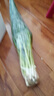 良知農(nóng)哥【順豐】東北新鮮小蔥 蘸醬蔬菜飯包小菜 1斤 送醬 曬單實(shí)拍圖