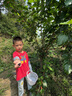 巴拉巴拉（BALABALA）男童套裝兒童春裝衛(wèi)衣長(zhǎng)褲兩件套潮拜年服 紅黑色調(diào) 120cm 曬單實(shí)拍圖