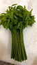 順豐包郵新鮮樹(shù)仔菜潮汕樹(shù)菜海南五指山野菜酒店私房特色菜當季 0.5斤 順豐 曬單實(shí)拍圖