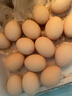 德青源A級(jí)鮮雞蛋32枚2.74斤起無(wú)抗生素 谷物喂養(yǎng)  營(yíng)養(yǎng)早餐家庭禮盒 曬單實(shí)拍圖