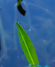 適馬（SIGMA） 適馬18-50mm F2.8 DC DN 半畫(huà)幅微單恒定大光圈變焦鏡頭 索尼E口【百億補(bǔ)貼】 官方標(biāo)配【下單送主圖配件】 曬單實(shí)拍圖