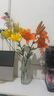 鹿色花瓶擺件客廳插花玻璃透明輕奢高級水養(yǎng)百合玫瑰水培植物鮮花 冰川玻璃花瓶【透明色】 25cm 曬單實拍圖