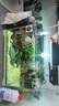尼特利水族時(shí)光mini水草燈led全光譜魚缸燈植物補(bǔ)光燈小型草缸支架夾燈 mini 水草燈（藍(lán)牙版） 曬單實(shí)拍圖